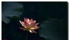 人到中年16悟，看完我也醒悟了