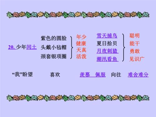 鱼肉