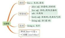 俞敏洪:人生的地图