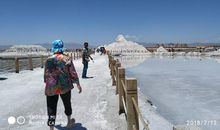 写景作文:新疆之旅盐湖篇