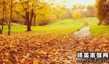 描写秋季景色的句子