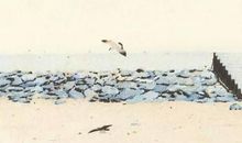 人生到最后，拼的都是人品