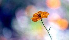 越活越好的七个特征