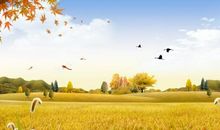 描写秋天丰收的好句