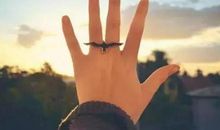 迷茫,有时候只是一种借口