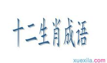 关于12生肖的成语