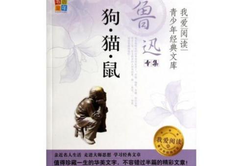 阅读后300字