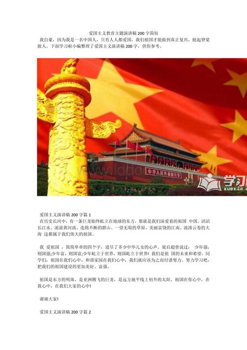 爱国主义言论