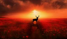 亲爱的，下一个不见得会更好