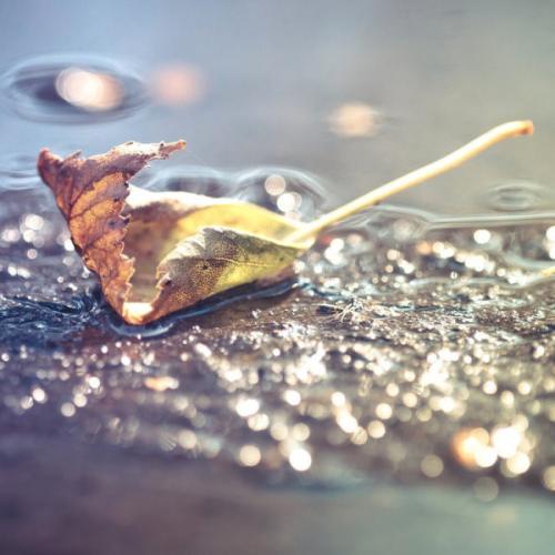 初春雨的诗