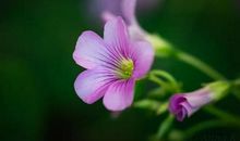 人生六件事,千万别再等