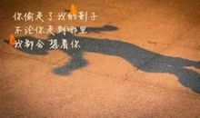 偷影子的人——读后感