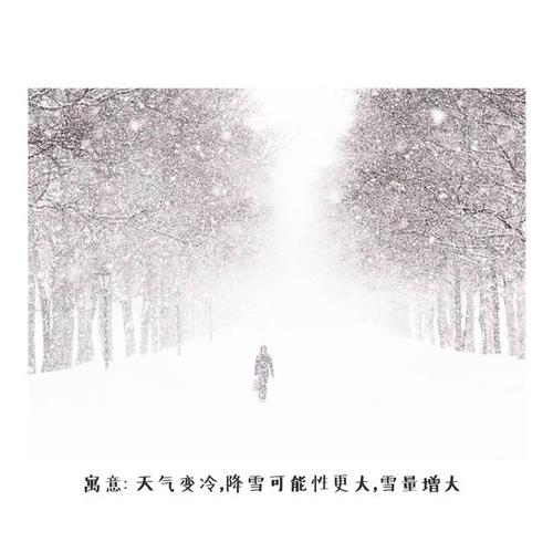 优美的句子描述大雪