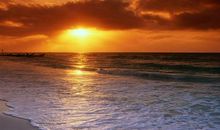 经典语录：有多少蝴蝶飞不过沧海，就有多少现实打败过爱