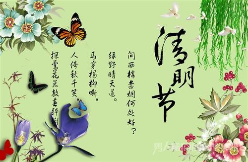 情清明