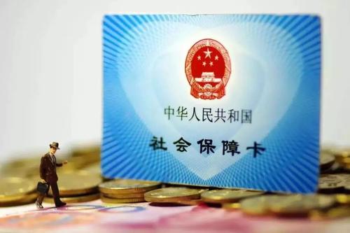 生命的百分之二