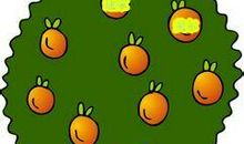 和树有关的成语