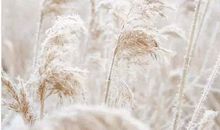 三分钟的电话，竟成了父母最大的奢望