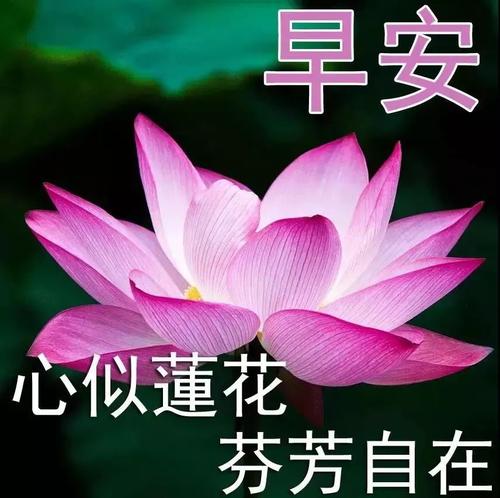 春天的问候