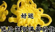 送给远方朋友的祝福