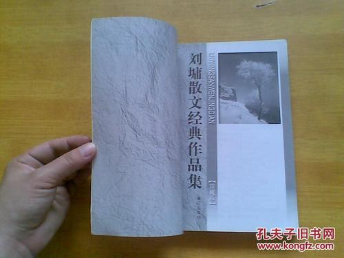 刘Yong作品_刘Yong散文