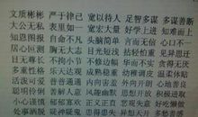 描写人外貌的成语