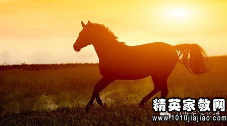 与马有关的成语