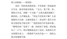 五年级作文：白开水的魔力