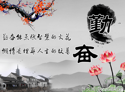 努力报价