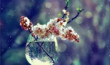 经典语录：深情不及久伴，厚爱无需多言