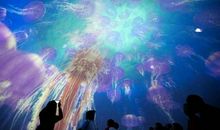 电影《天幕》观后感