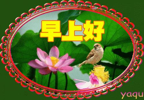 清晨问候