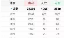 黄冈天有高中2010年网上志愿填报及高考录取工作安排