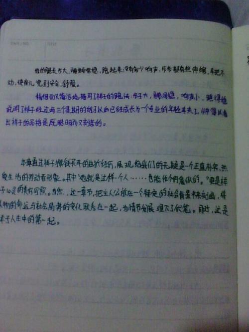 祥子骆驼摘录500字