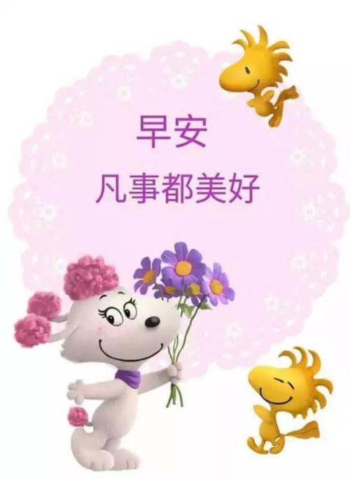 关怀问候