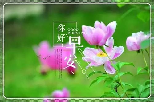 热情的招呼