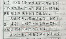 我若是鲜花，就用我装点世界仿写