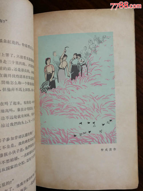 句子中的作品