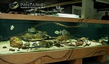 你为了什么而工作