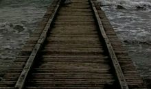 怎样才是真正的淡定