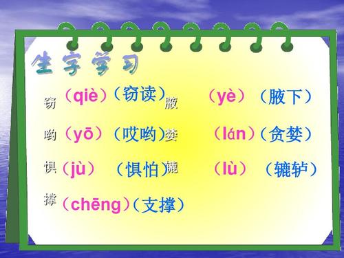 300个字