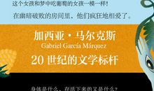 爱情和其他魔鬼读后感