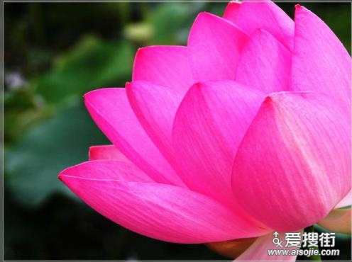 生活应该有一颗随和的心