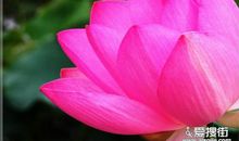 人生应该拥有一颗随和之心