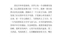 老人与海鸥读后感300字