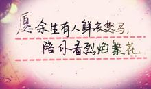 赞扬学生的语句