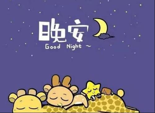 晚安问候