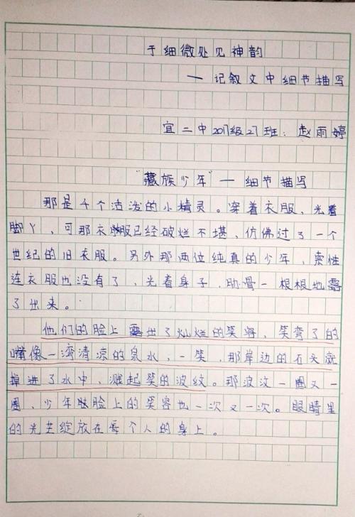 详细说明摘录