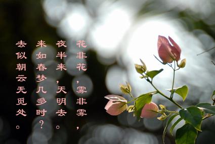 赞美伟大母亲的诗句