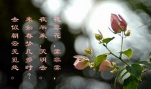 赞美伟大母亲的诗句